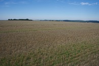 #4: View West