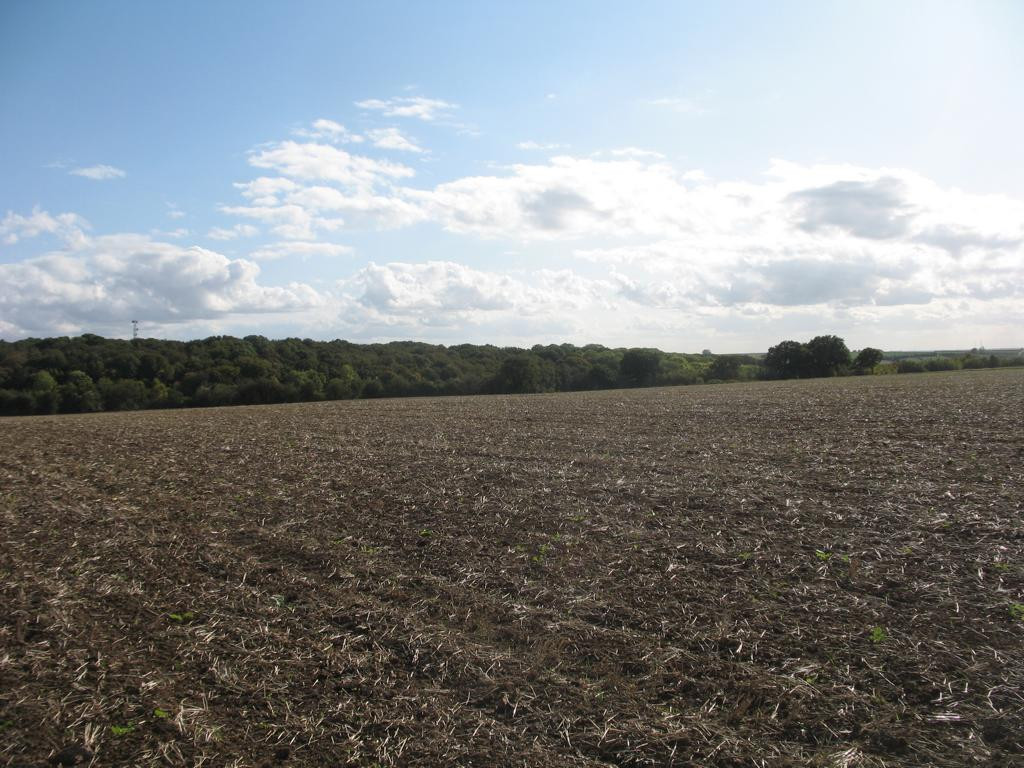 Süden; view south