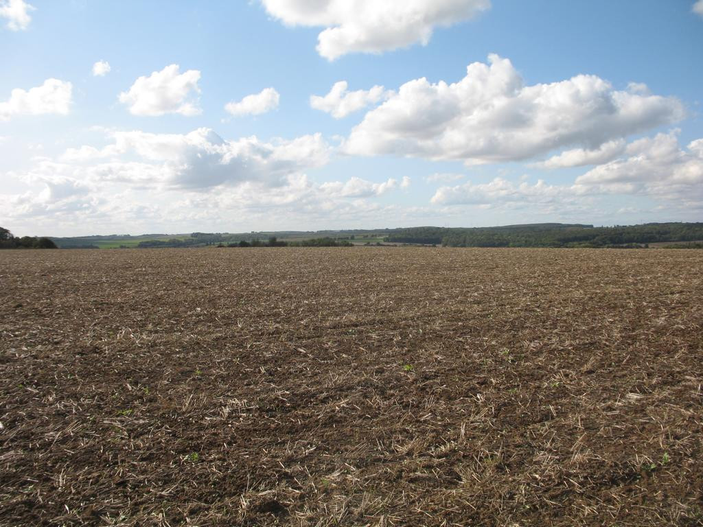 Westen; view west
