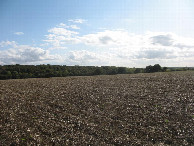 #3: Süden; view south