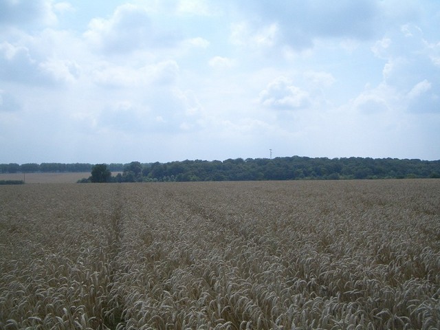 Looking South