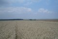 Visit #3: [03-Aug-07]