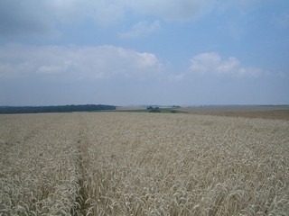 #1: Looking North