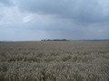 #5: Looking West