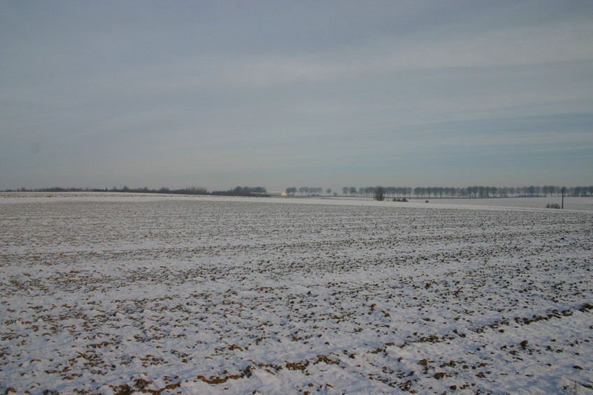 View to the East