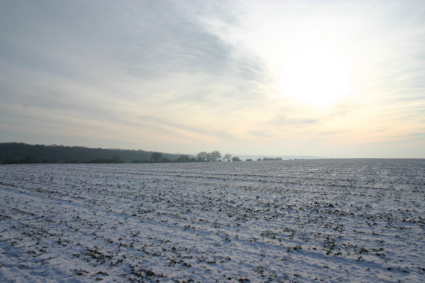 View to the South