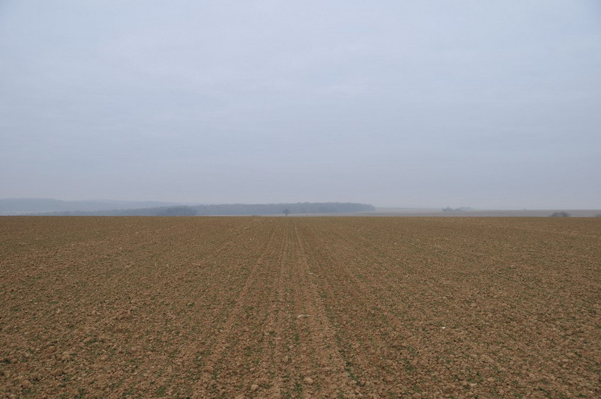 View west / Blick nach Westen