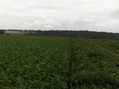 #2: VIEW TO EAST
