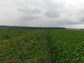 #4: VIEW TO WEST