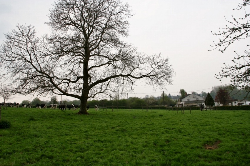 The point and view to the North