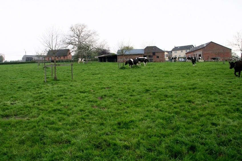 View to the West, with the farm