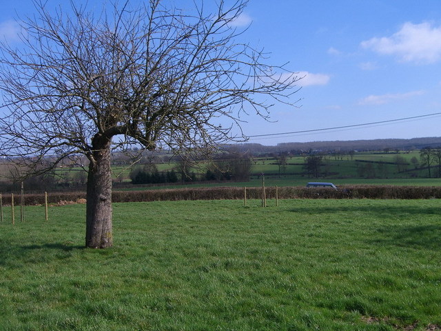 View south / Blick nach Süden