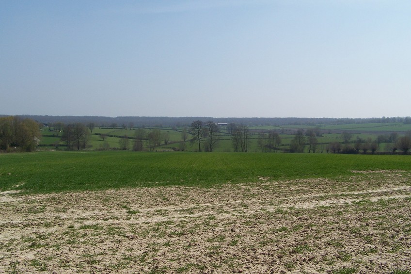 View towards E