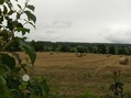 #2: VIEW TO EAST