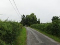 #3: VIEW TO NORTH