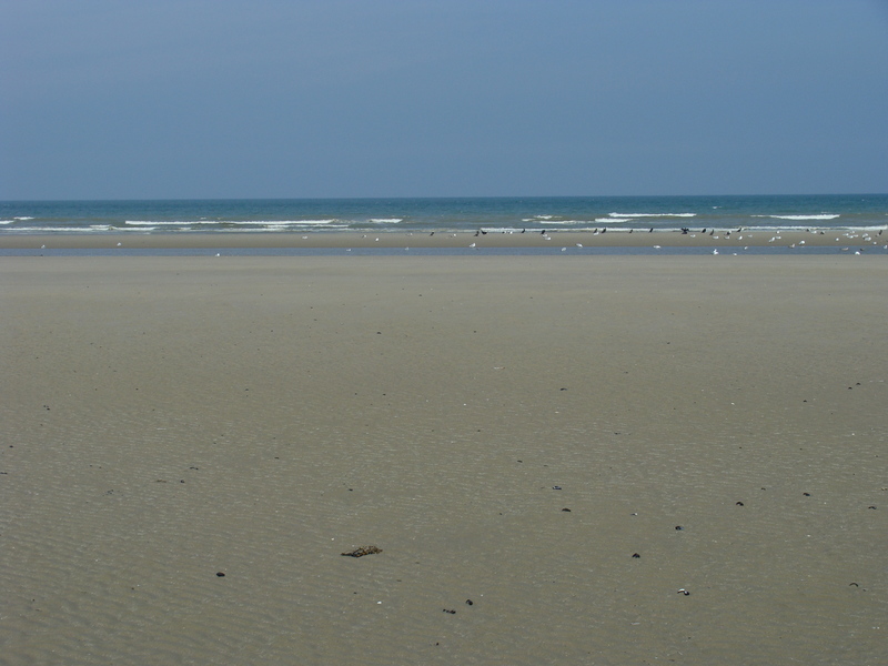 Low tide:  plenty of beach to spare looking north from 51N 2E
