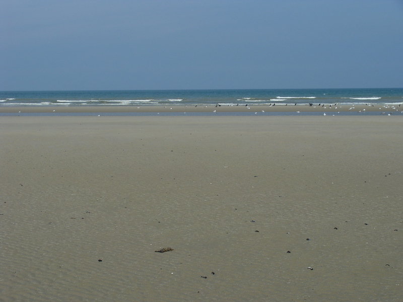 Low tide:  plenty of beach to spare looking north from 51N 2E