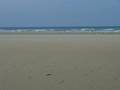 #2: Low tide:  plenty of beach to spare looking north from 51N 2E