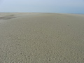 #5: Looking west from 51N 2E (boy, that's a wide beach!)