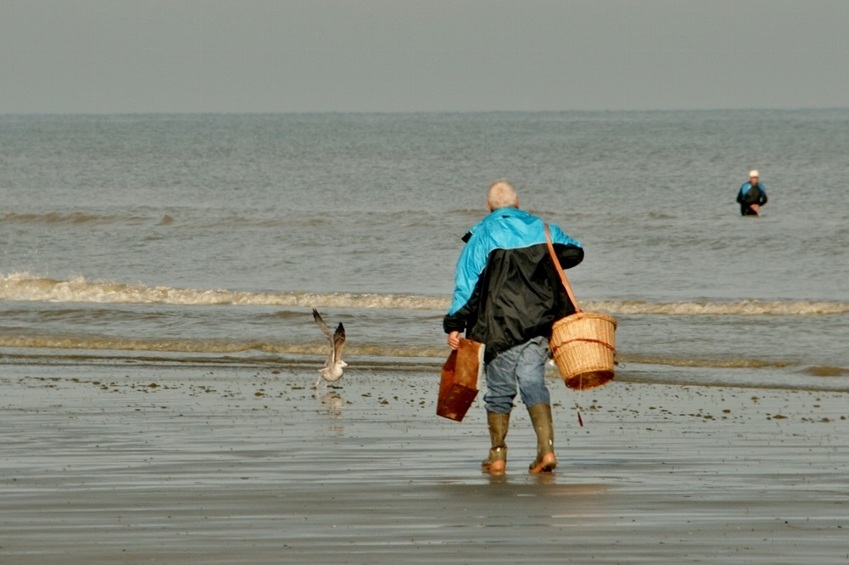 Shrimpers