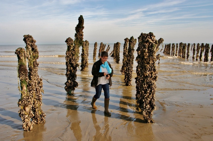 Nat walking between the posts covered by mussels