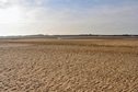 #2: View to the East, towards the dunes