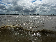 #3: View South (towards the beach)