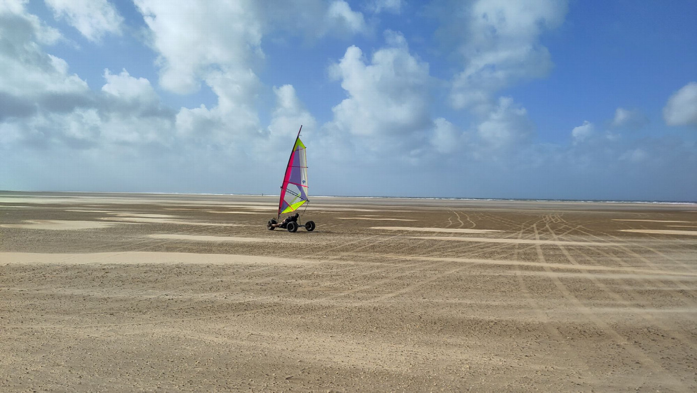 beach surfer