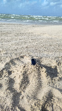 #10: close to the ocean
