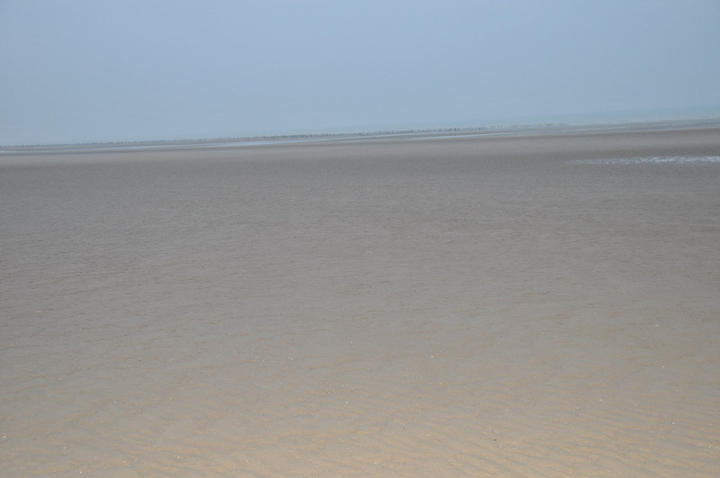 The point