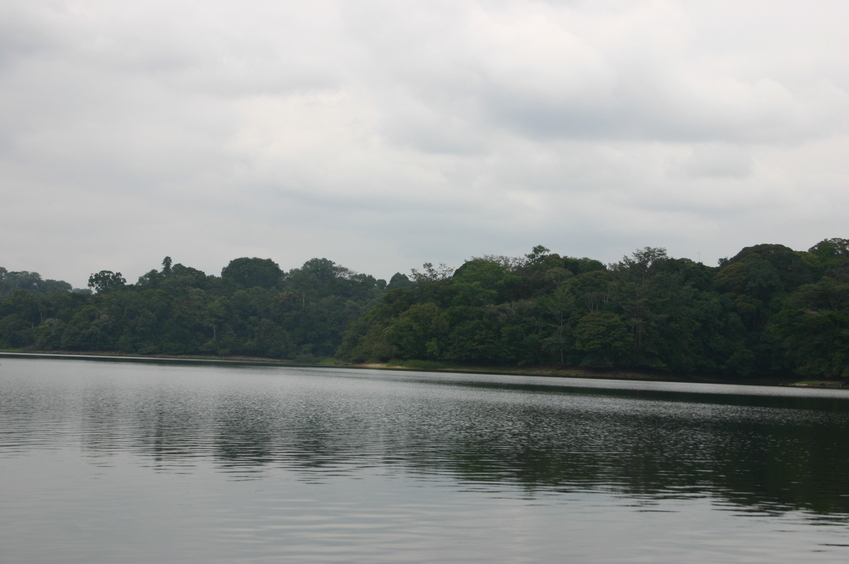 From the confluence point, looking south