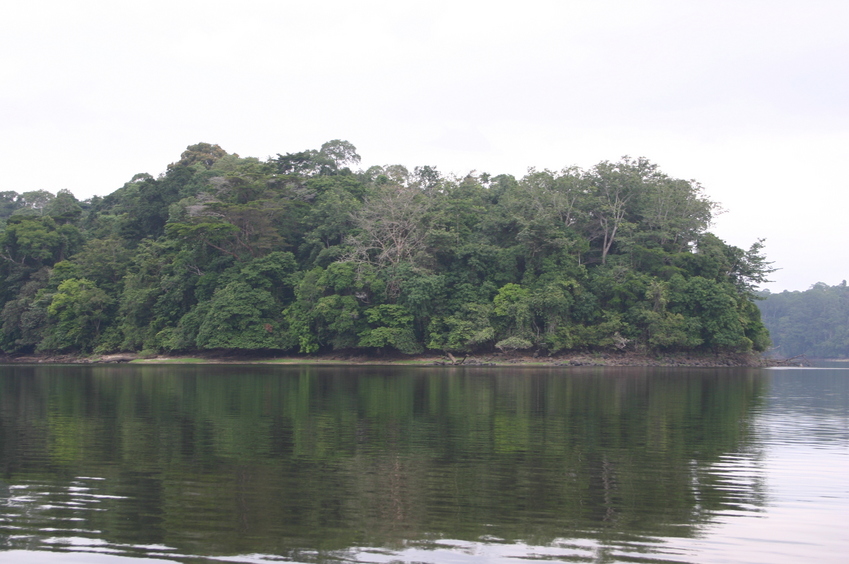 From the confluence point, looking west