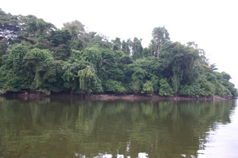 #1: From the confluence point, looking east