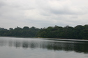 #2: From the confluence point, looking south