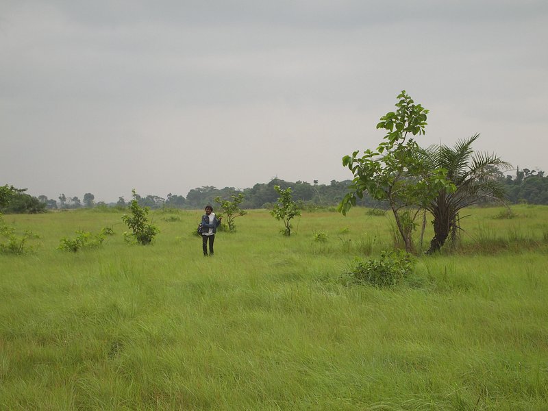 Grasslands