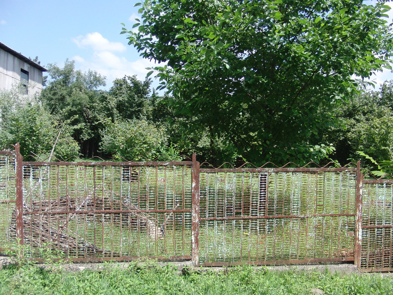 East-north-east – Confluence in this garden