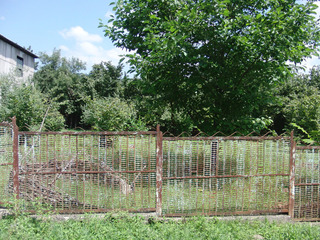 #1: East-north-east – Confluence in this garden