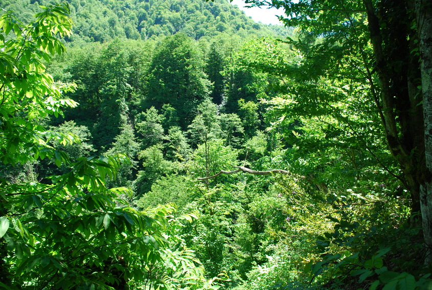 View from the ridge of the confluence point