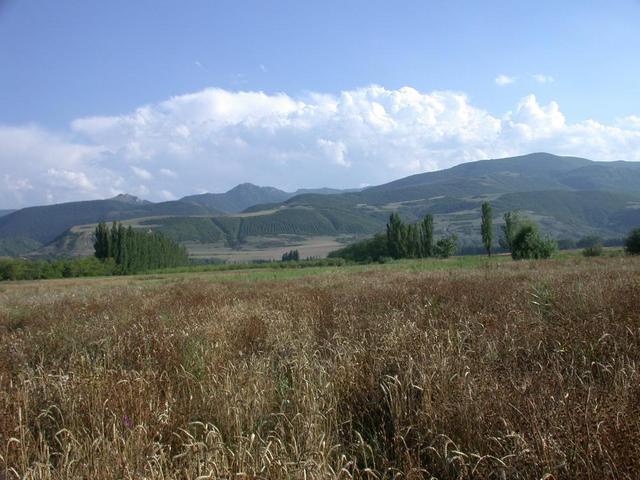 Looking towards the hills