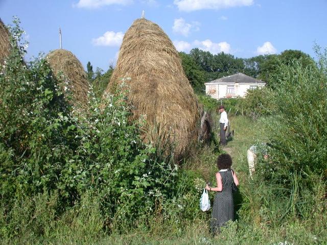 Local hay stacks