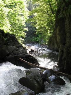 #1: Gorge