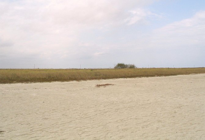 At the Confluence looking East