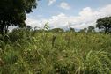 #3: Looking east at Confluence