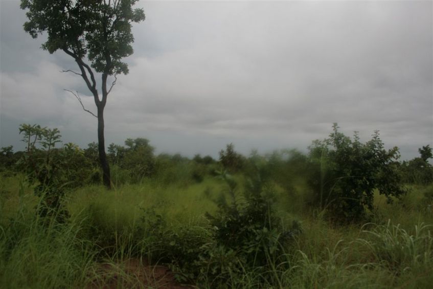 Southern vista in the rain