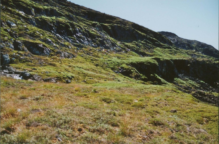 view S – under Ilimmaasaq, the Kvanefjeld in the background