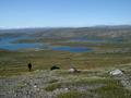 #7: The View From Mt. Evans