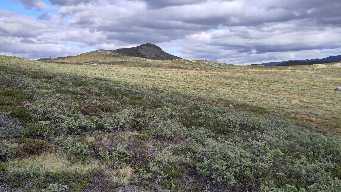view to the east