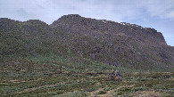 #8: way up along the creek in the middle of the photo