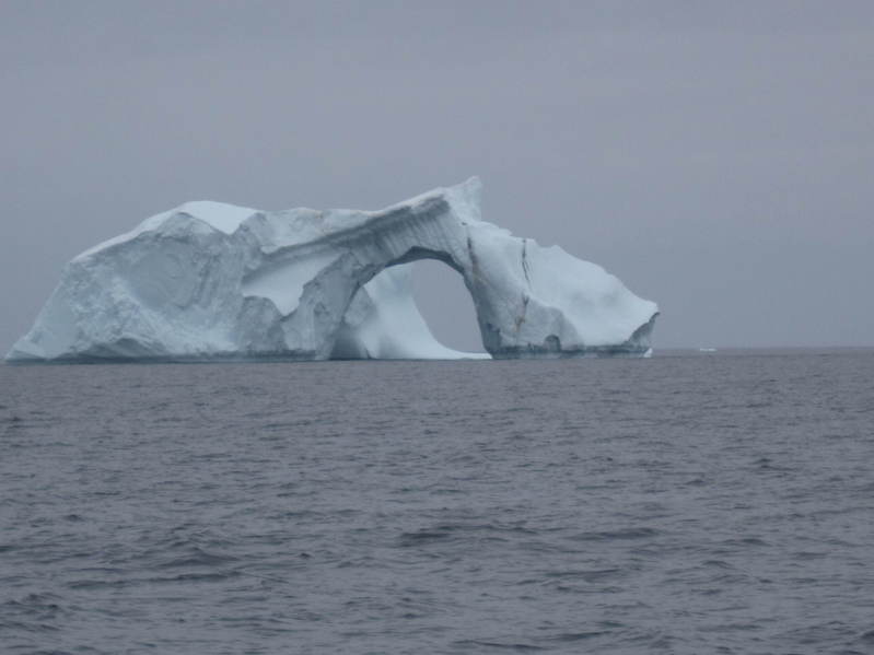 Iceberg