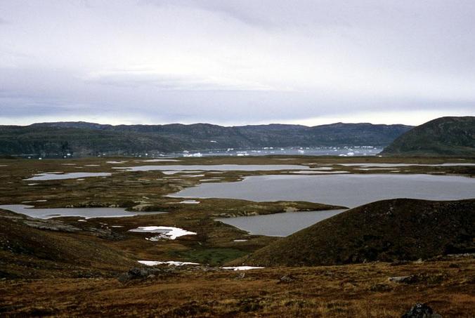 Looking north to Tasiusaq with its icebergs from Kangia